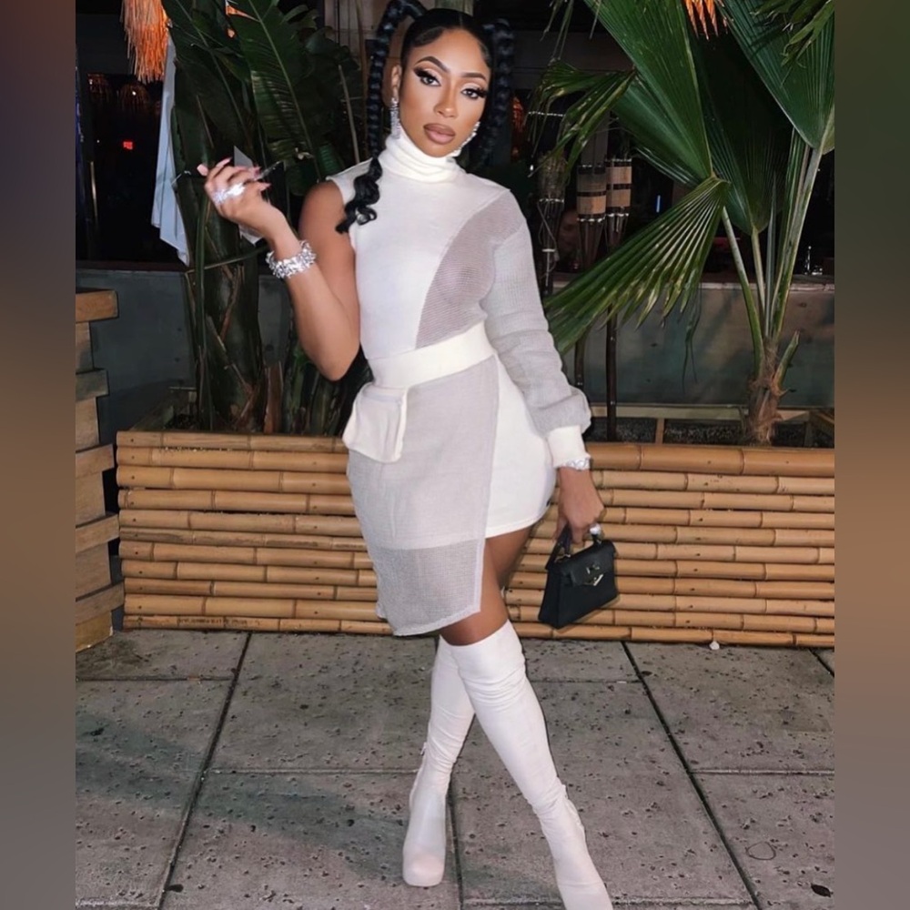 Turtleneck Colorblock Mini Dress in Ivory and Light Gray